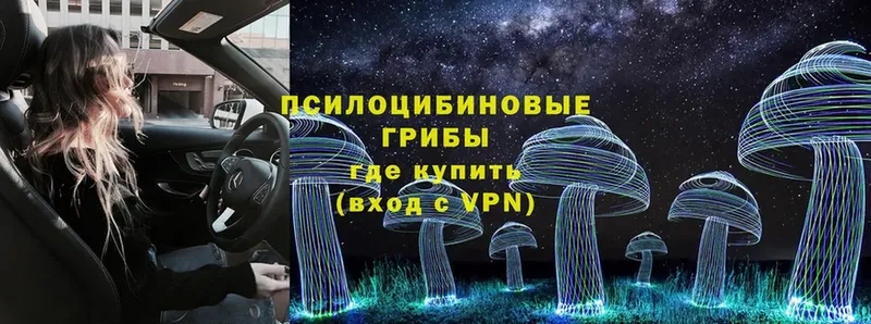 Псилоцибиновые грибы MAGIC MUSHROOMS Уфа